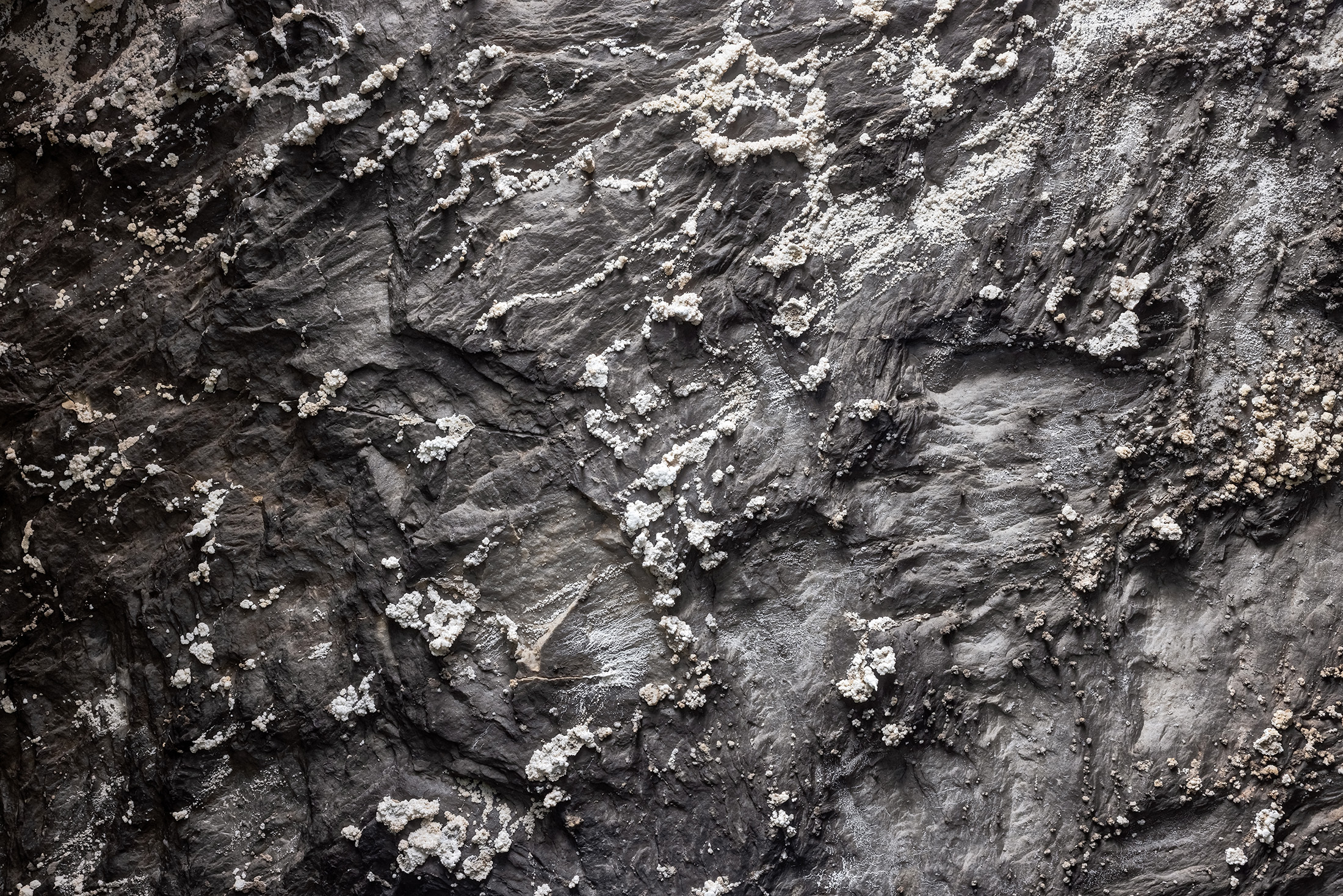 Istockphoto 2235367059 1024x1024